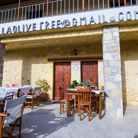 Villa Olive Tree With Private Pool & Jacuzzi Κίσσαμος Εξωτερικό φωτογραφία
