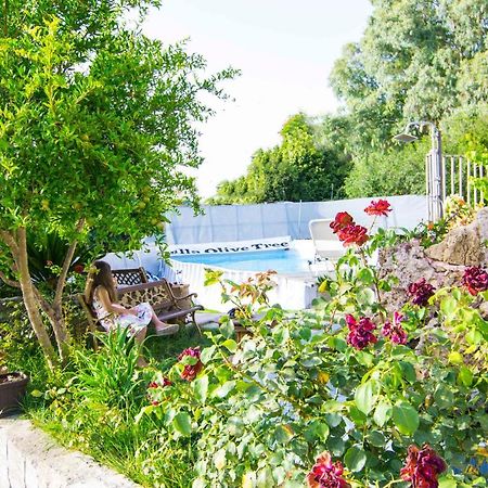 Villa Olive Tree With Private Pool & Jacuzzi Κίσσαμος Εξωτερικό φωτογραφία