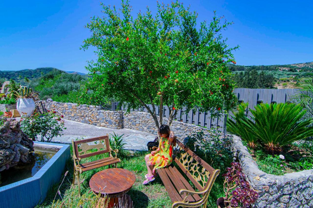 Villa Olive Tree With Private Pool & Jacuzzi Κίσσαμος Εξωτερικό φωτογραφία