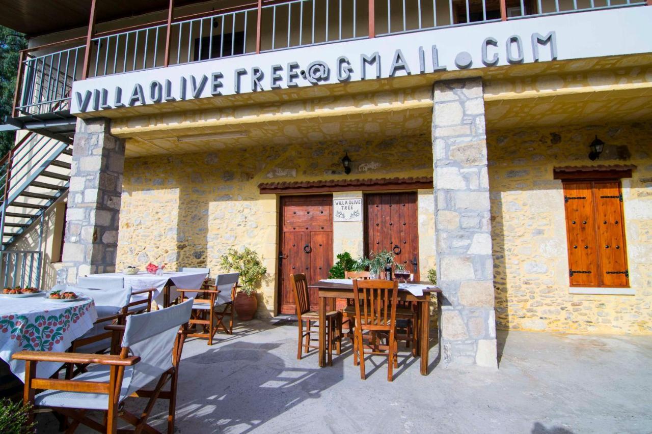 Villa Olive Tree With Private Pool & Jacuzzi Κίσσαμος Εξωτερικό φωτογραφία
