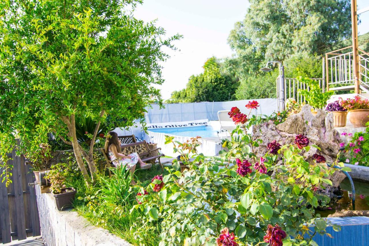 Villa Olive Tree With Private Pool & Jacuzzi Κίσσαμος Εξωτερικό φωτογραφία