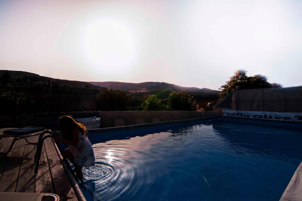 Villa Olive Tree With Private Pool & Jacuzzi Κίσσαμος Εξωτερικό φωτογραφία