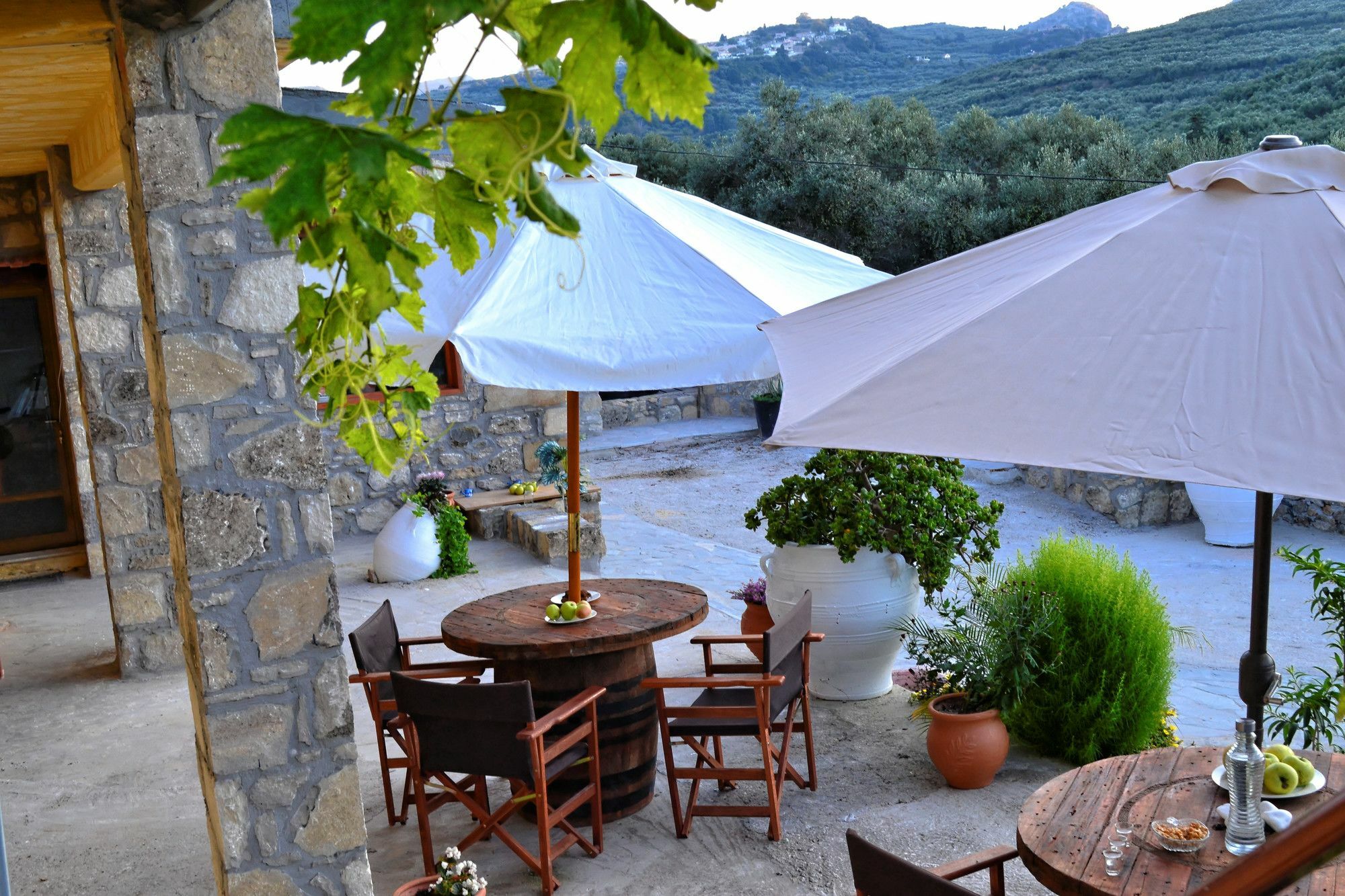 Villa Olive Tree With Private Pool & Jacuzzi Κίσσαμος Εξωτερικό φωτογραφία