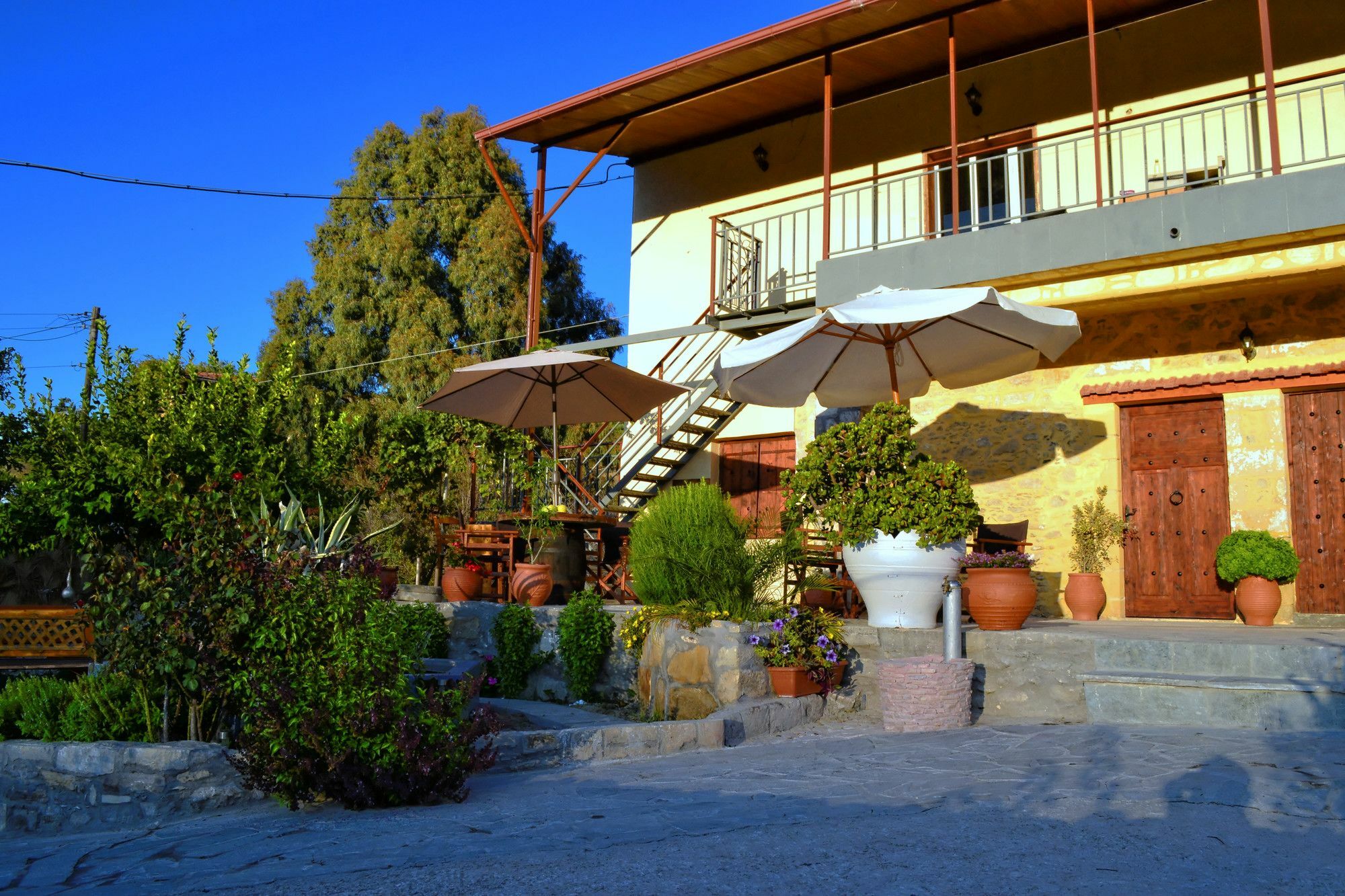 Villa Olive Tree With Private Pool & Jacuzzi Κίσσαμος Εξωτερικό φωτογραφία