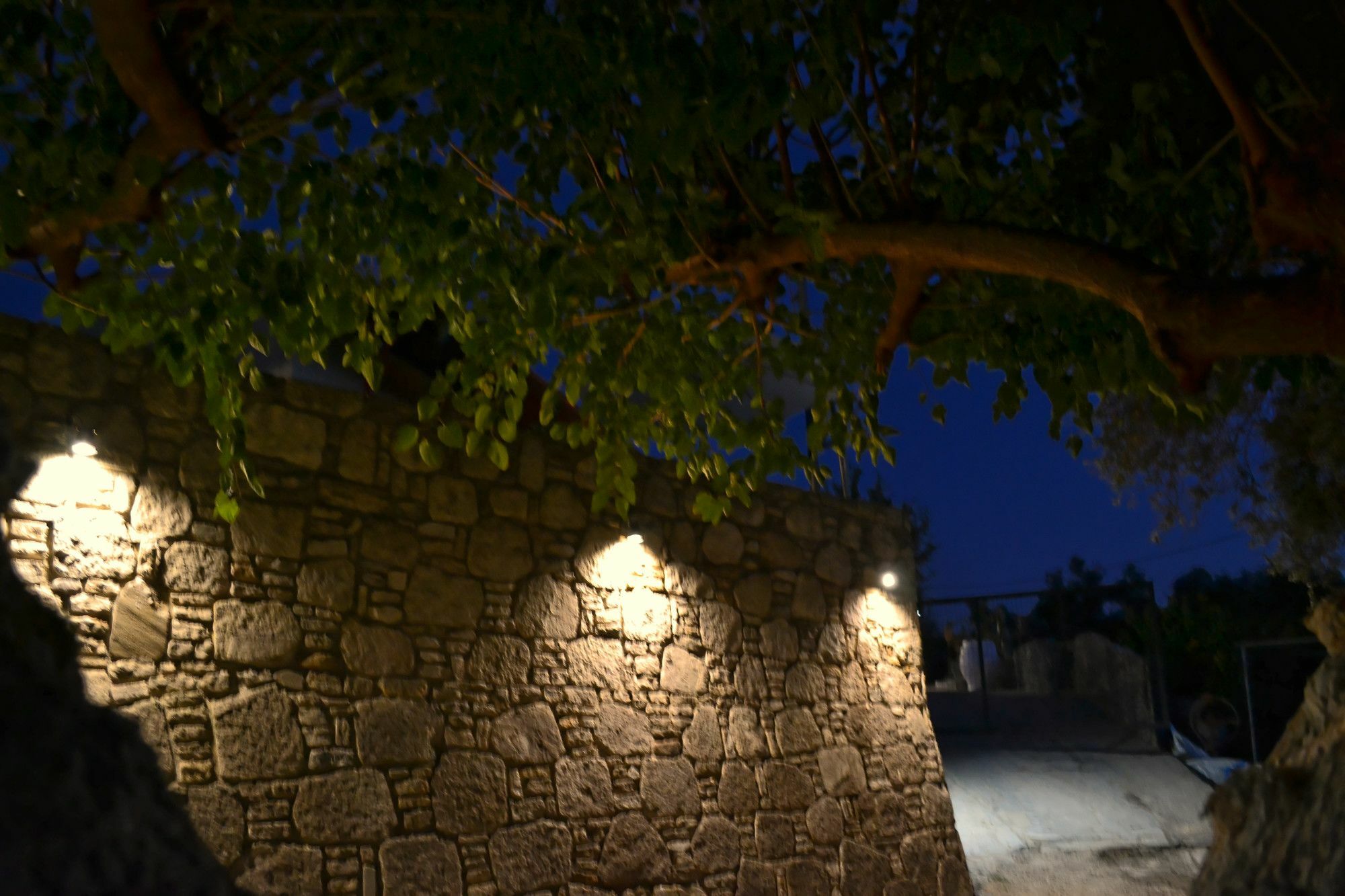 Villa Olive Tree With Private Pool & Jacuzzi Κίσσαμος Εξωτερικό φωτογραφία