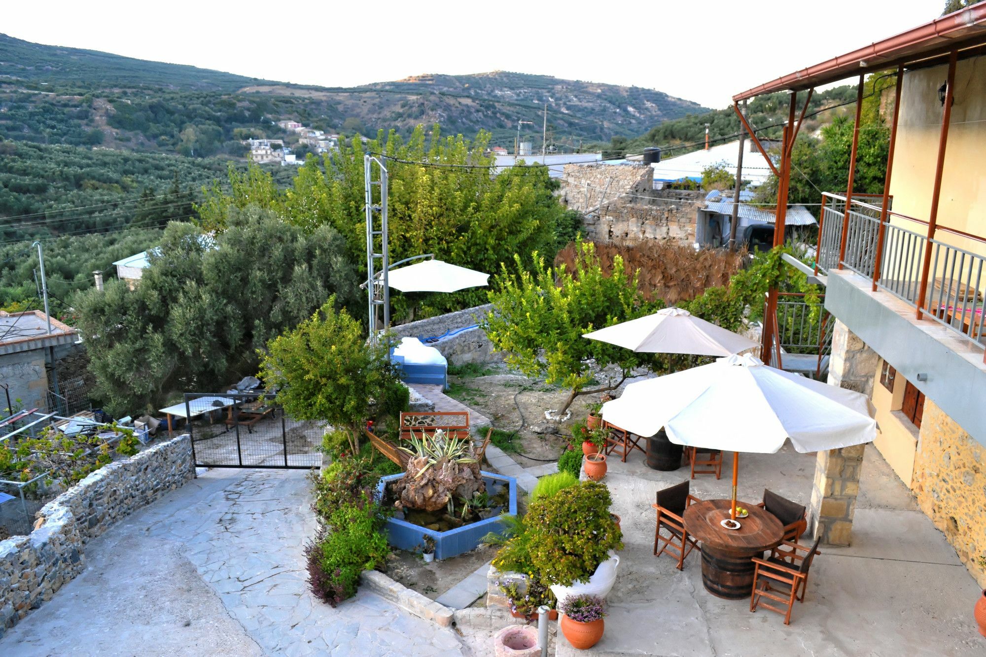 Villa Olive Tree With Private Pool & Jacuzzi Κίσσαμος Εξωτερικό φωτογραφία