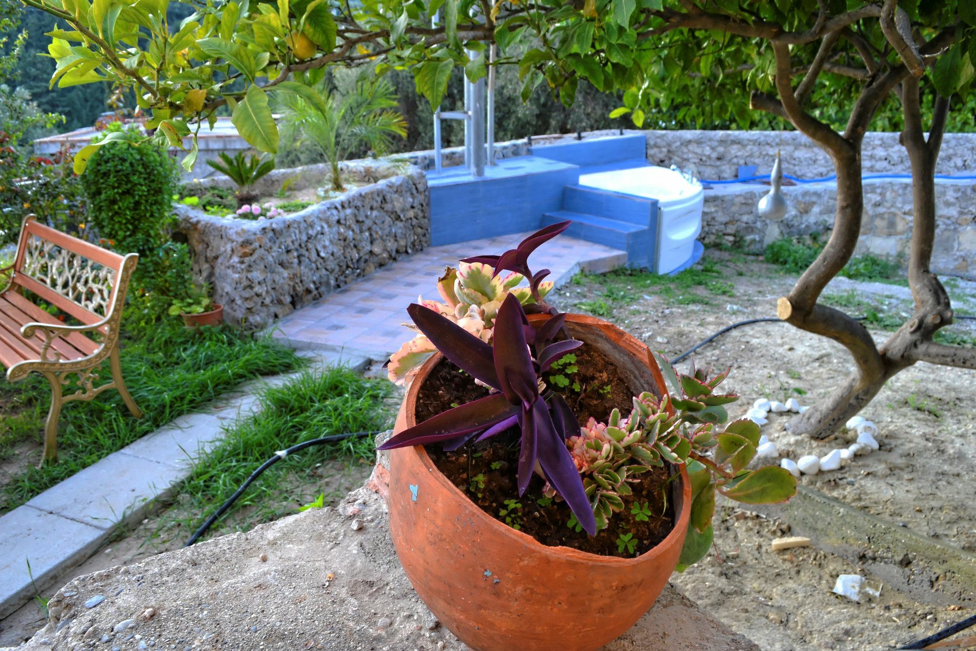 Villa Olive Tree With Private Pool & Jacuzzi Κίσσαμος Εξωτερικό φωτογραφία