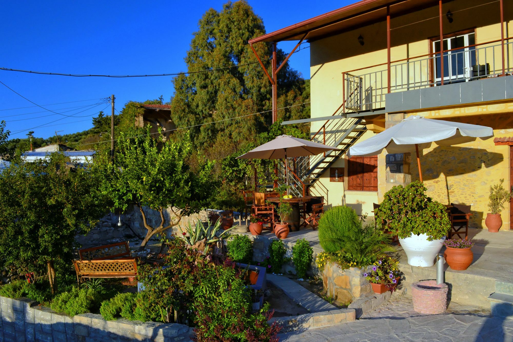 Villa Olive Tree With Private Pool & Jacuzzi Κίσσαμος Εξωτερικό φωτογραφία