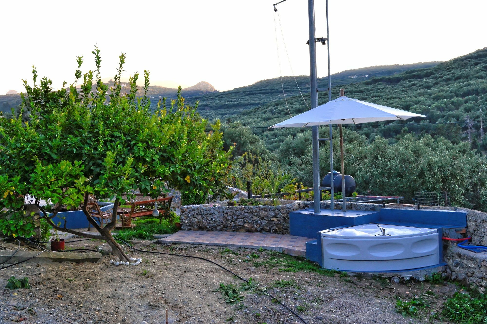 Villa Olive Tree With Private Pool & Jacuzzi Κίσσαμος Εξωτερικό φωτογραφία