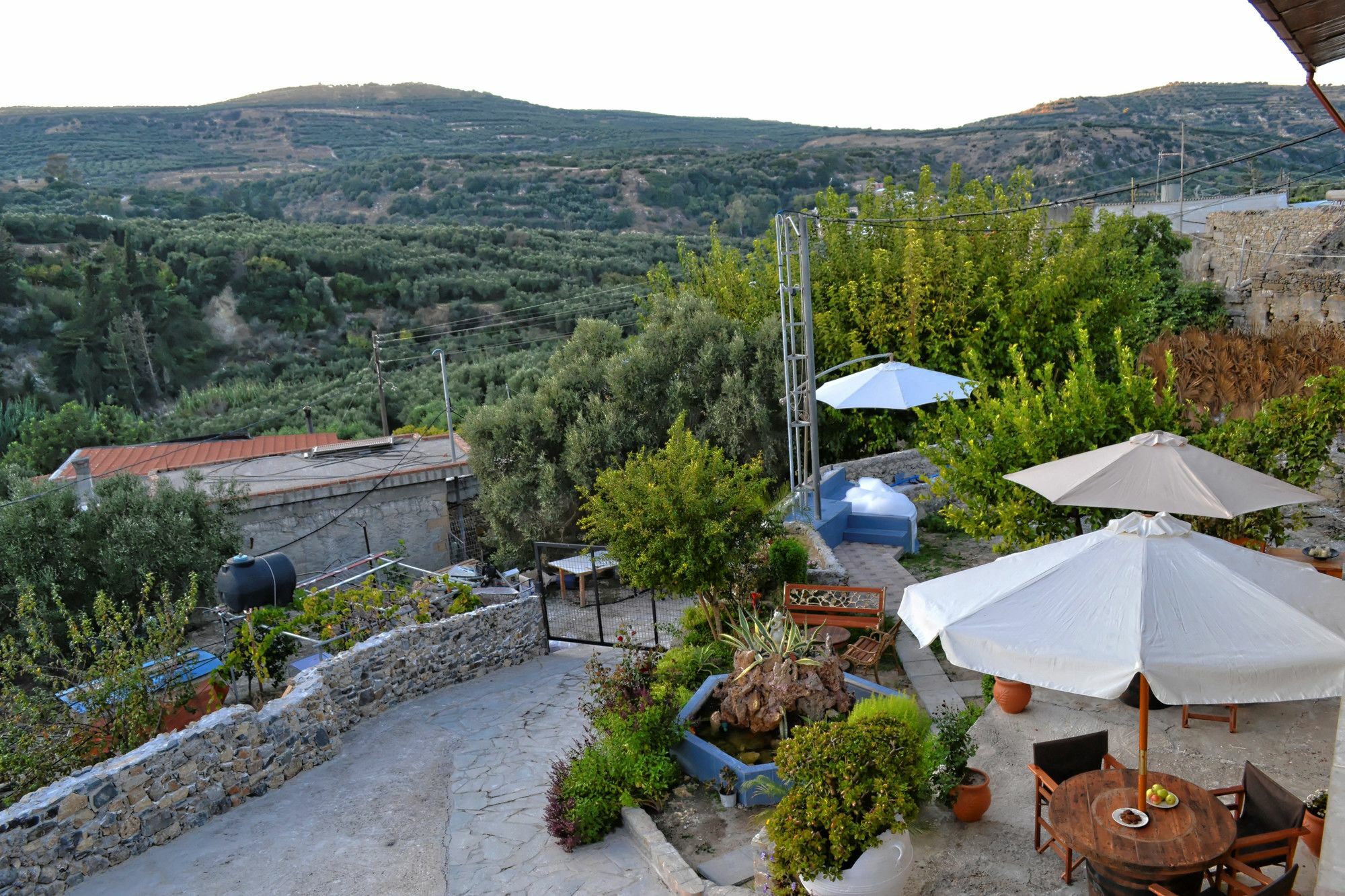 Villa Olive Tree With Private Pool & Jacuzzi Κίσσαμος Εξωτερικό φωτογραφία
