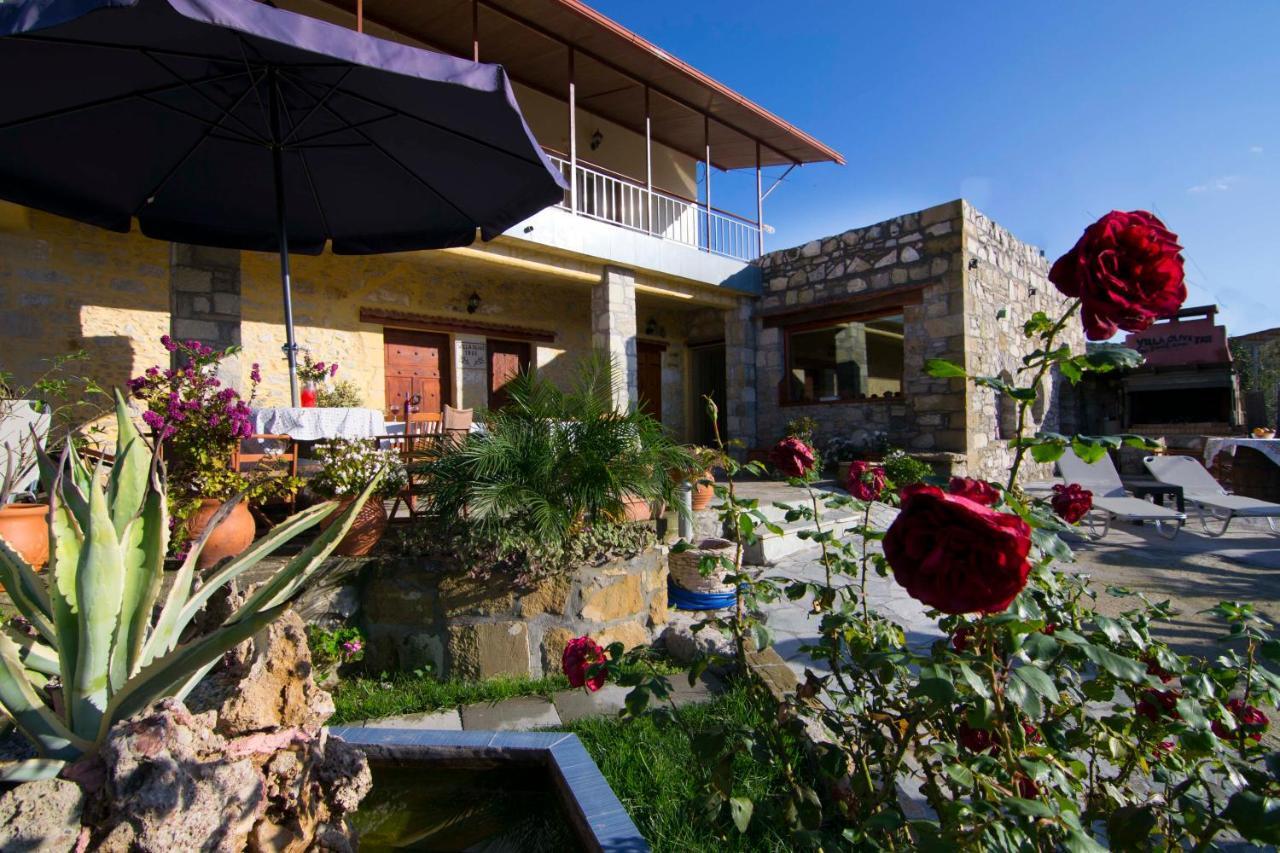 Villa Olive Tree With Private Pool & Jacuzzi Κίσσαμος Εξωτερικό φωτογραφία