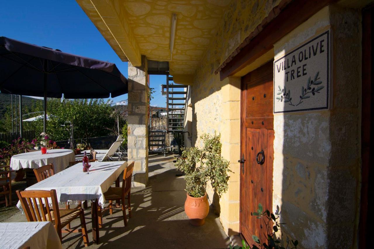 Villa Olive Tree With Private Pool & Jacuzzi Κίσσαμος Εξωτερικό φωτογραφία